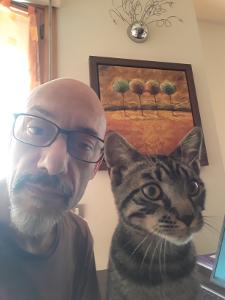 2020 - Smart working? Cat working!